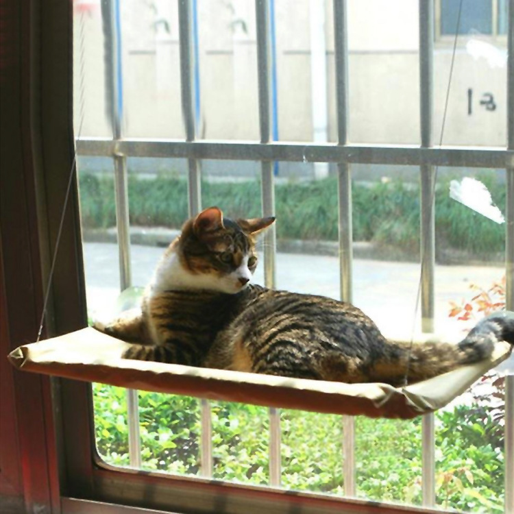 Cat Window Bed